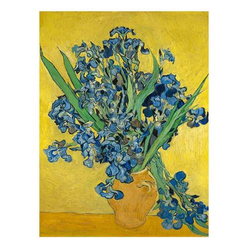 Reproducere pe panza dupa Vincent van Gogh - Irises - 60 x 45 cm