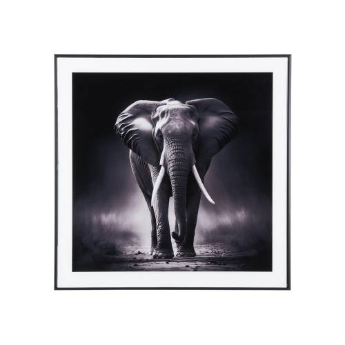 Tablou 50x50 cm Elephant - PT LIVING