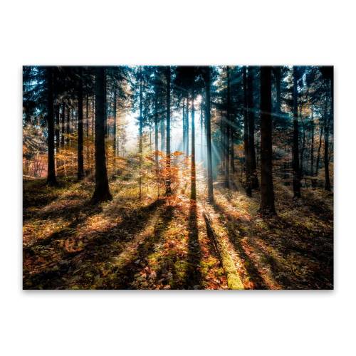 Tablou Styler Glasspik Autumn Sunset - 70 x 100 cm